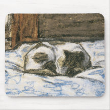 Katt som sovar på en säng vid Claude Monet Mus Mattor