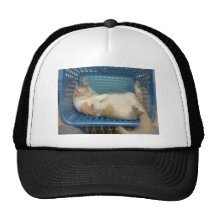 Katt Trucker Keps