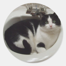 Kattälskarefröjd Klistermärken