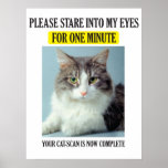 Kattbildläsningsaffisch
