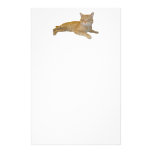 Kattbrevpapper
