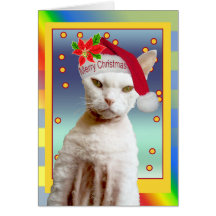 Katten Santa för kort | Rex jamar jul