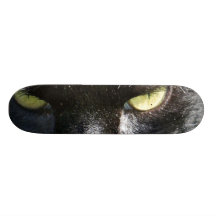Katten synar skateboarden