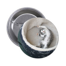Katten ta sig en tupplur knappar med nål