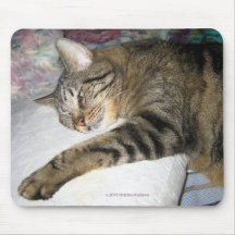 KATTEN TA SIG EN TUPPLUR MUSMATTA