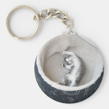 Katten ta sig en tupplur nyckel ring
