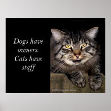Katter har att bemanna posters