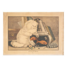 Kattfiske av E.B. & E.C. Kellogg Konstfoto