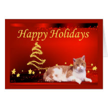 Kattjulkort