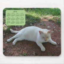 Kattkalender 2013 mus mattor