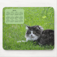 Kattkalender 2013 musmatta