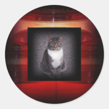 Kattklistermärke
