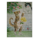 kattkurtis kort