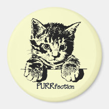 Kattmagnet Purrfection Magneter För Kylskåp