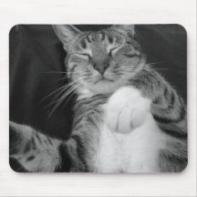 Kattmusen vadderar! mus matta