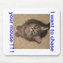 Kattmusen vadderar musmattor