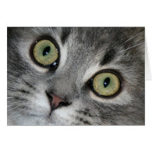 "Kattöga Notecard Kort