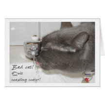 Kattslöserivatten - kort