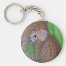 Kattungar Nyckelring