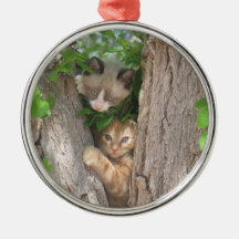Kattungar på en trädprydnad julgransdekorationer