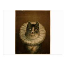 Kattunge i en Elizabethan ruff vykort