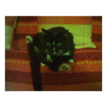 kattunge inbjudningskort