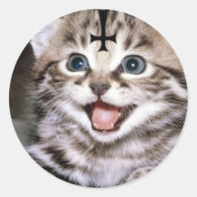 kattunge klistermärke