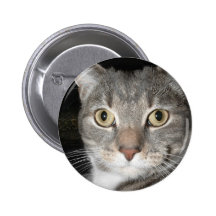 Kattunge knäppas nål