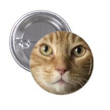 Kattunge knäppas pins