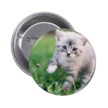 Kattunge Nål
