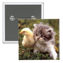 Kattunge- och babychick knapp