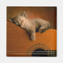 kattunge-på-gitarr magnet magneter