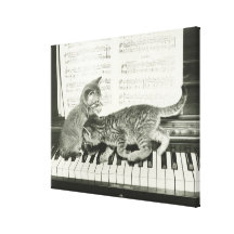 Kattunge som två leker på pianotangentbord, (B&W) Canvasduk Med Gallerikvalitet