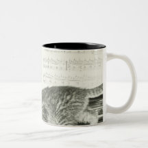 Kattunge som två leker på pianotangentbord, (B&W) Kaffe Muggar