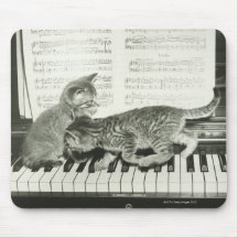 Kattunge som två leker på pianotangentbord, (B&W) Mus Mattor