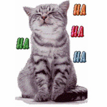 Kattungefotoskulptur Photo Cutout