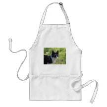kattungekatt förkläden