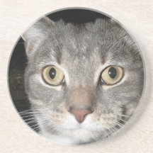 Kattungekustfartyg Dryck Underlägg