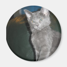 Kattungemagnet Kylskåpsnagnet