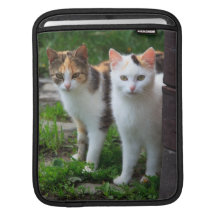 Kattvänäventyr Sleeves För iPads