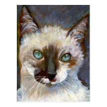 Kattvykort