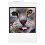 KattwithTongue ut Hälsnings Kort