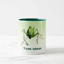Katydid jorddag muggar