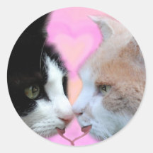 Katzen Liebespaar Aufkleber