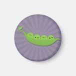 Kawaii ärtor i en pod på purpurfärgade Starburst Magnet För Kylskåp