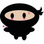 Kawaii Ninja fotoskulptur Acrylic Cut Out