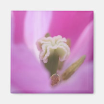 Keukenhof arbeta i trädgården, Holland, specialise Magnet För Kylskåp