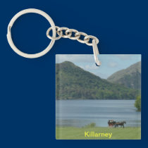 Killarney sjöar och Jarvey nyckelringar