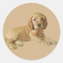 Klistermärke för cockerspanielSpanielvalp
