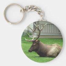 klotter 752 nyckel ring